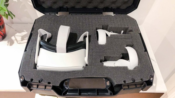 Best oculus quest 2 cases