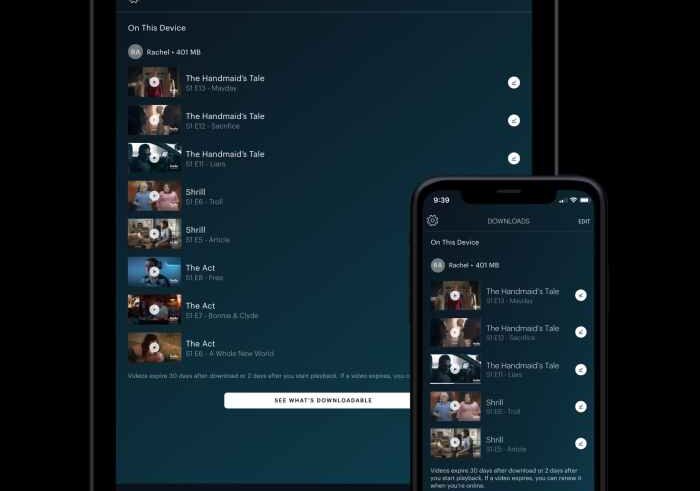 Hulu college student discount ads watch party offline download