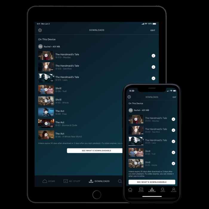 Hulu college student discount ads watch party offline download