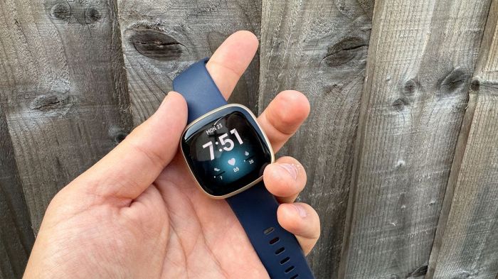 Should you buy fitbit black friday