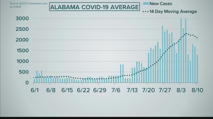 Covid netherlands blast Covid party coronavirus intentional infection not real alabama washington texas