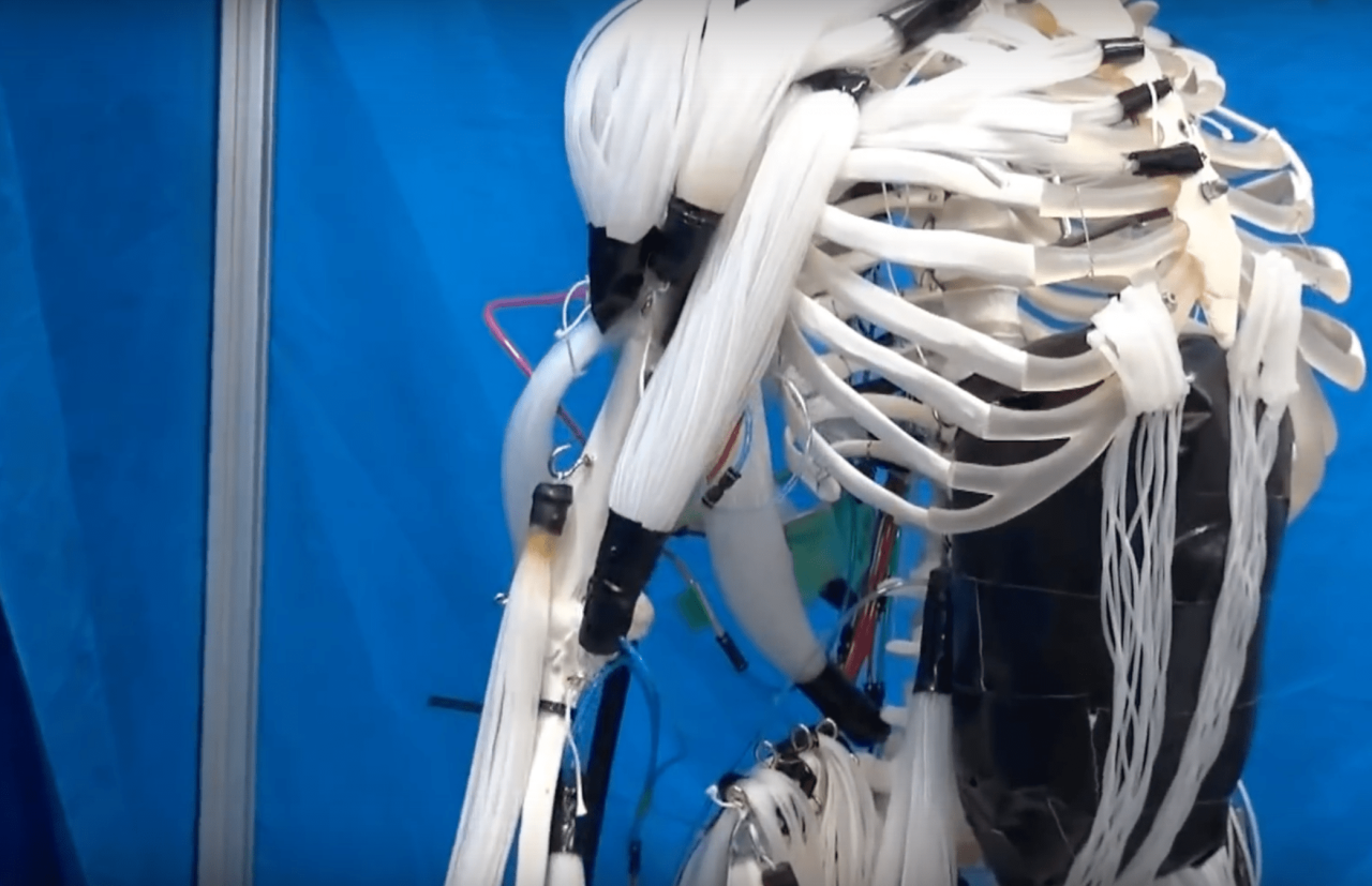 Robotics soft pikul Robotics soft pikul