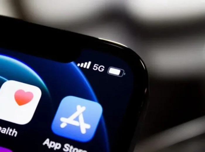 Apple app store policies purchases cut fees change class action