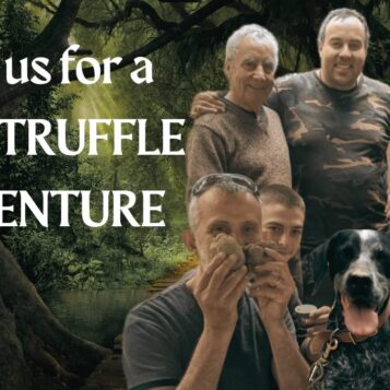 New trailers rebecca truffle hunters sneakerheads dune netflix