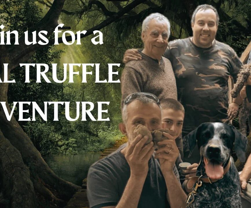 New trailers rebecca truffle hunters sneakerheads dune netflix