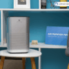 Air purifier plant breathing plants makes better