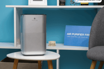 Air purifier plant breathing plants makes better