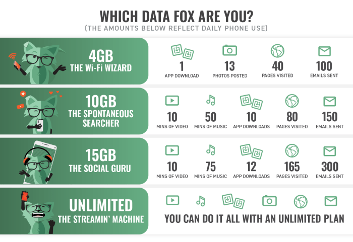 Mint unlimited explained