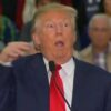 Shopify trump store disable campaign ecommerce sites capitol