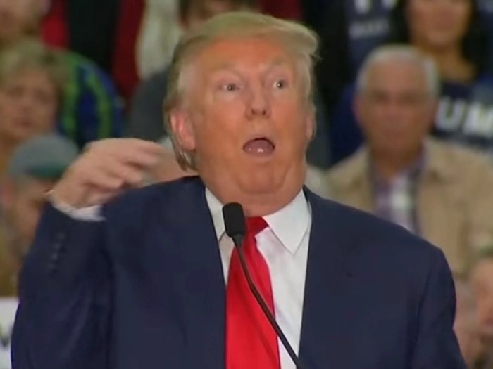 Shopify trump store disable campaign ecommerce sites capitol