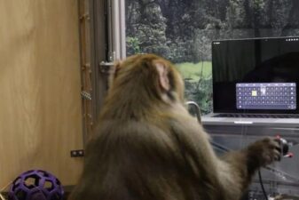 Elon musks neuralink under investigation for potential animal welfare violations