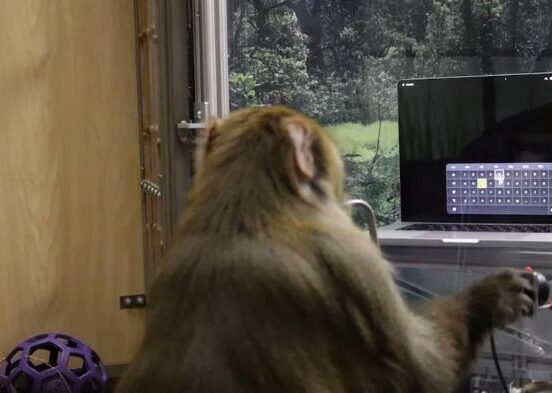 Elon musks neuralink under investigation for potential animal welfare violations