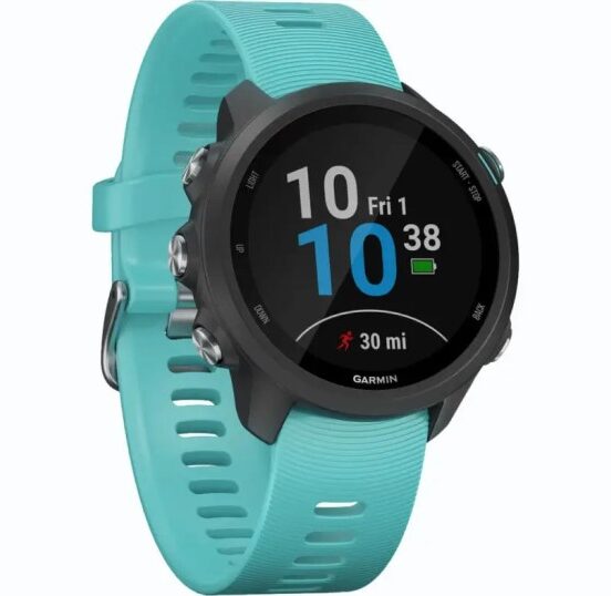 Garmin apple vs