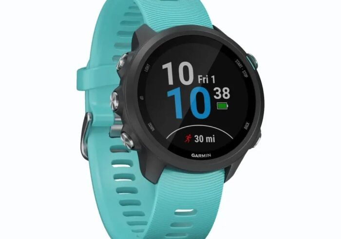 Garmin apple vs