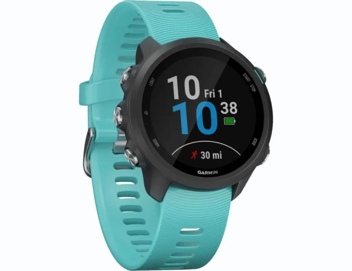 Garmin apple vs Garmin apple vs
