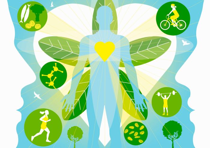 Your basal metabolic rate bmr is the key to losing weight or gaining muscle