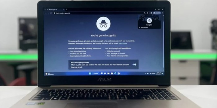 Google chrome incognito lock android safety check