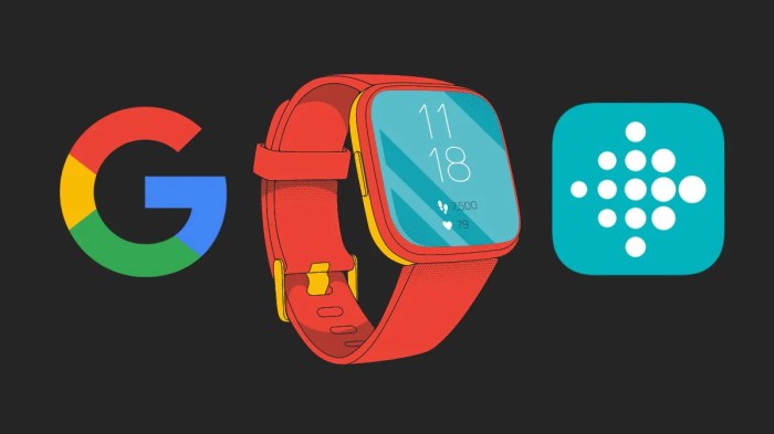 Migrate fibit account to google