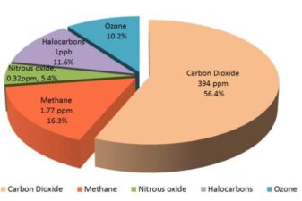 No sir your greenhouse gas is not allowed here