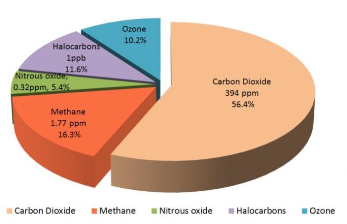 No sir your greenhouse gas is not allowed here