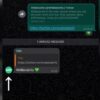 Whatsapp likely to have userames soon