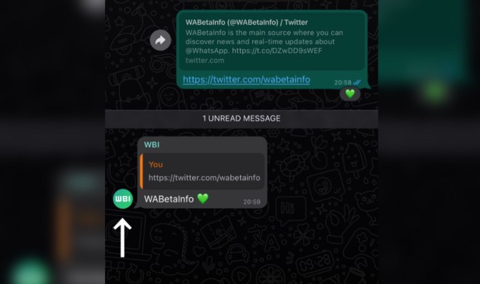 Whatsapp likely to have userames soon