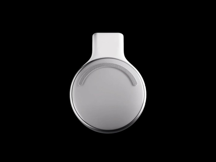 Ai wearable recorders bee limitless vergecast