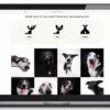 Pandemic puppies are adopters really giving them up