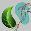 Crispr gene editing survey public opinion