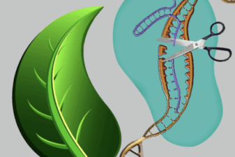 Crispr gene editing survey public opinion