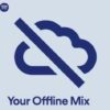 Spotify offline mix test