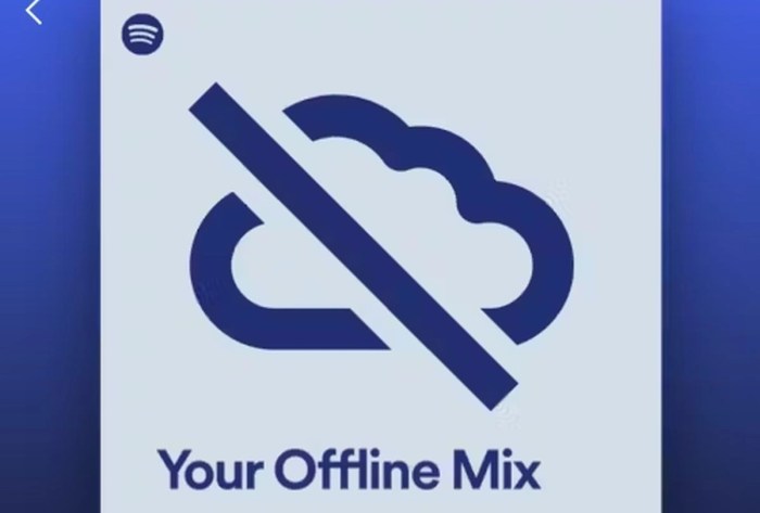 Spotify offline mix test