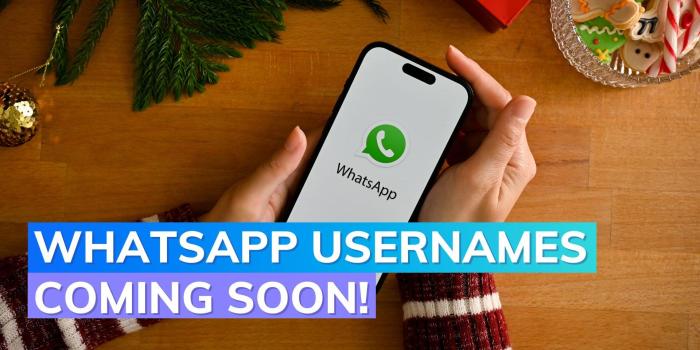 Whatsapp likely to have userames soon