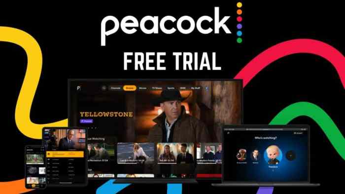 Peacock Premium Free Trial 2024 - Eydie Oralee Get 4 months of peacock premium streaming for just 10