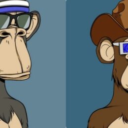 Bored apes yacht club florida men identities revealed