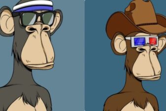 Bored apes yacht club florida men identities revealed