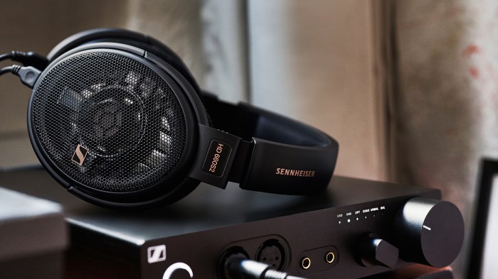 Sennheiser hd660s headphones price release date specs