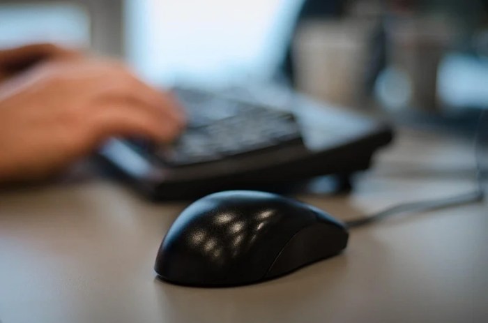 India orders vpn companies to collect and hand over user data
