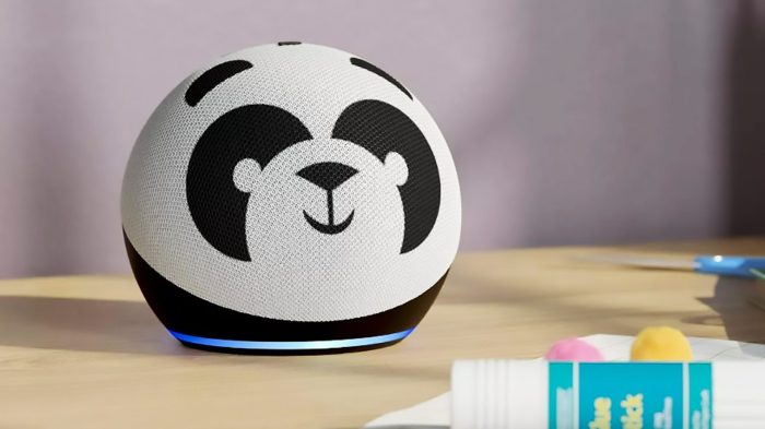 Amazon alexa echo mod sign language gestures ai
