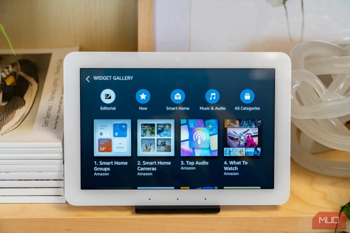 Amazon echo hub sonos ace deal sale