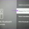 Every streaming service voice command support amazon fire tv