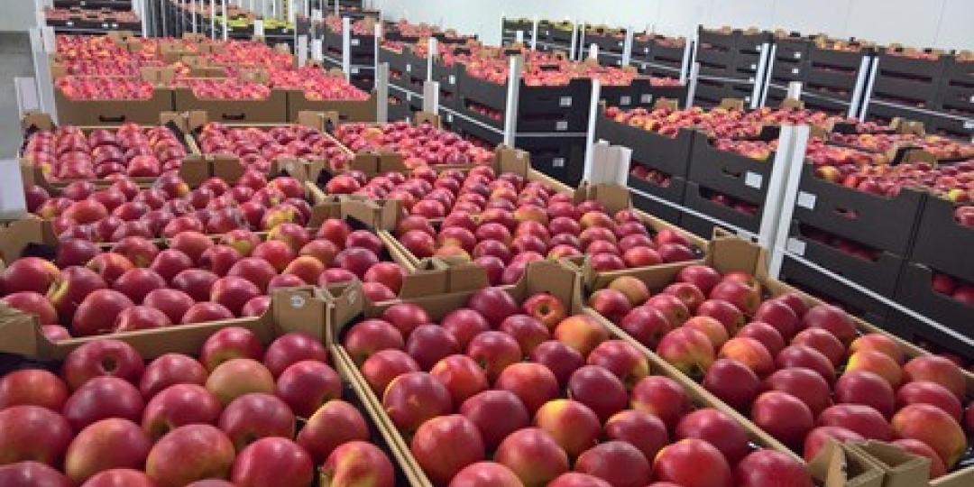 Apple 6s india iphone now make flickr cheaper indians afford launch chinese which will can successor se an credit manufactured