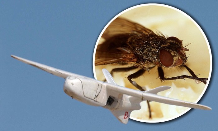 Shape shifting drone future rescue missions