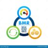 Your basal metabolic rate bmr is the key to losing weight or gaining muscle