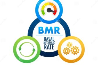 Your basal metabolic rate bmr is the key to losing weight or gaining muscle