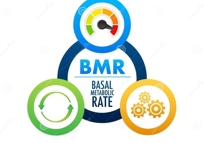 Your basal metabolic rate bmr is the key to losing weight or gaining muscle