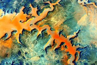 Nasa scott kelly year in space iss gi tract digestion