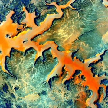 Nasa scott kelly year in space iss gi tract digestion