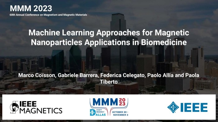 Magnetic nanoparticles biotechnology biomedicine cso lluís founder martinez nanoparticle Ferrofluid magnetic nanoparticles biomedicine nasa invention cancer infections neurons