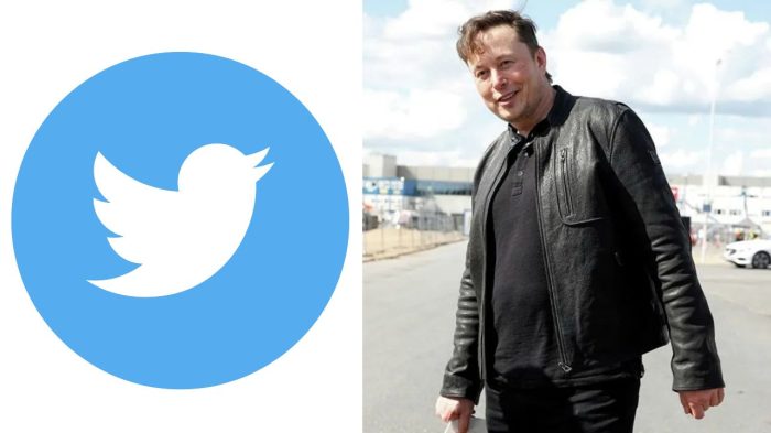 Elon musk terminates twitter deal